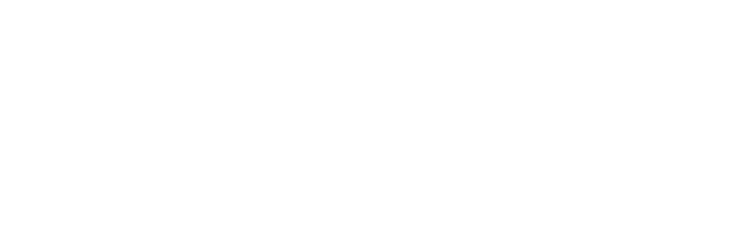 Botinas Boiadeira