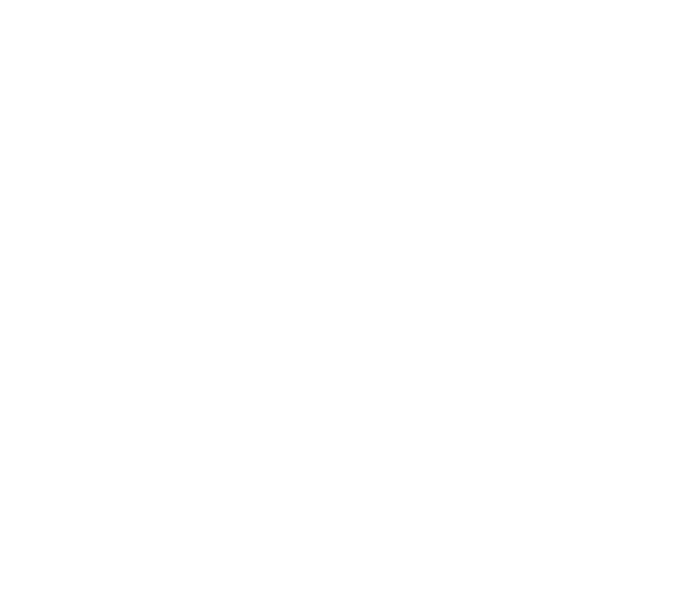 Enfogue